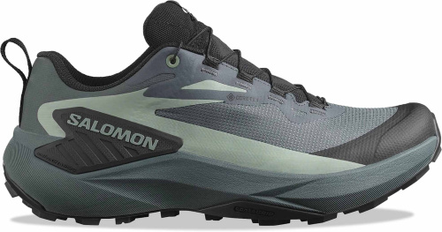 Кроссовки Salomon Genesis GTX W