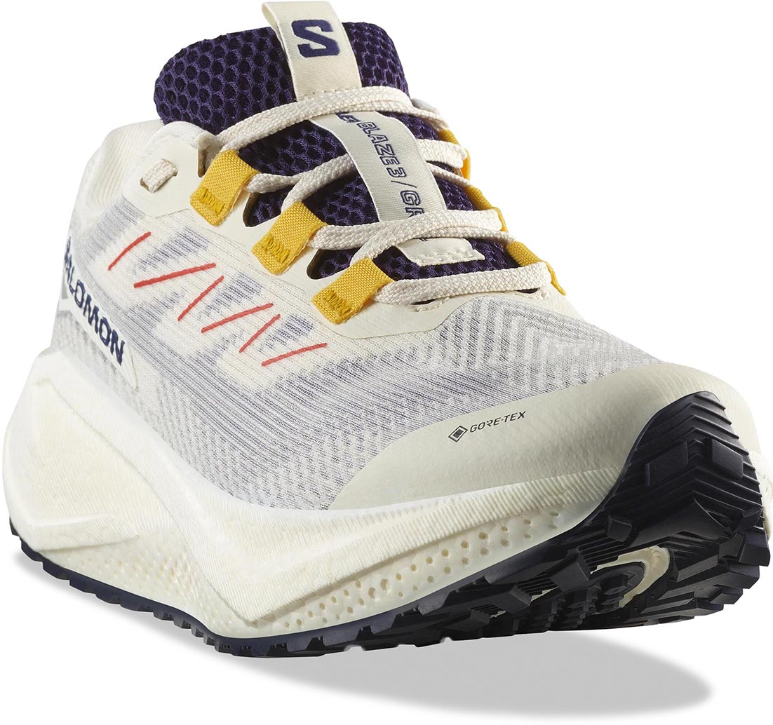 Aero Blaze 3 GRVL GTX W