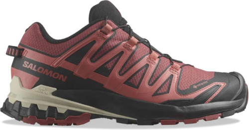 Кроссовки Salomon XA PRO 3D V9 GTX W