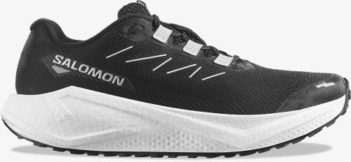 Кроссовки беговые Salomon Aero Blaze 3 GRVL