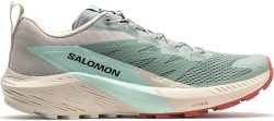 Кроссовки Salomon Sense Ride 5 W