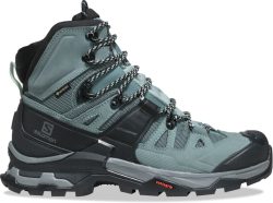 Ботинки Salomon Quest 4 GTX W